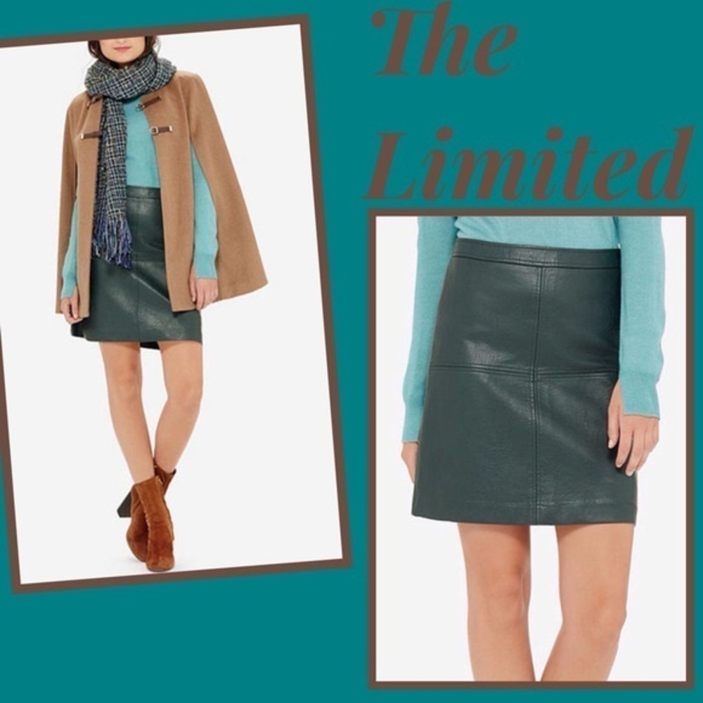 🔥Limited,Green, Vegan Leather,A-Line Skirt, PERFECT for the Holidays! Size 12